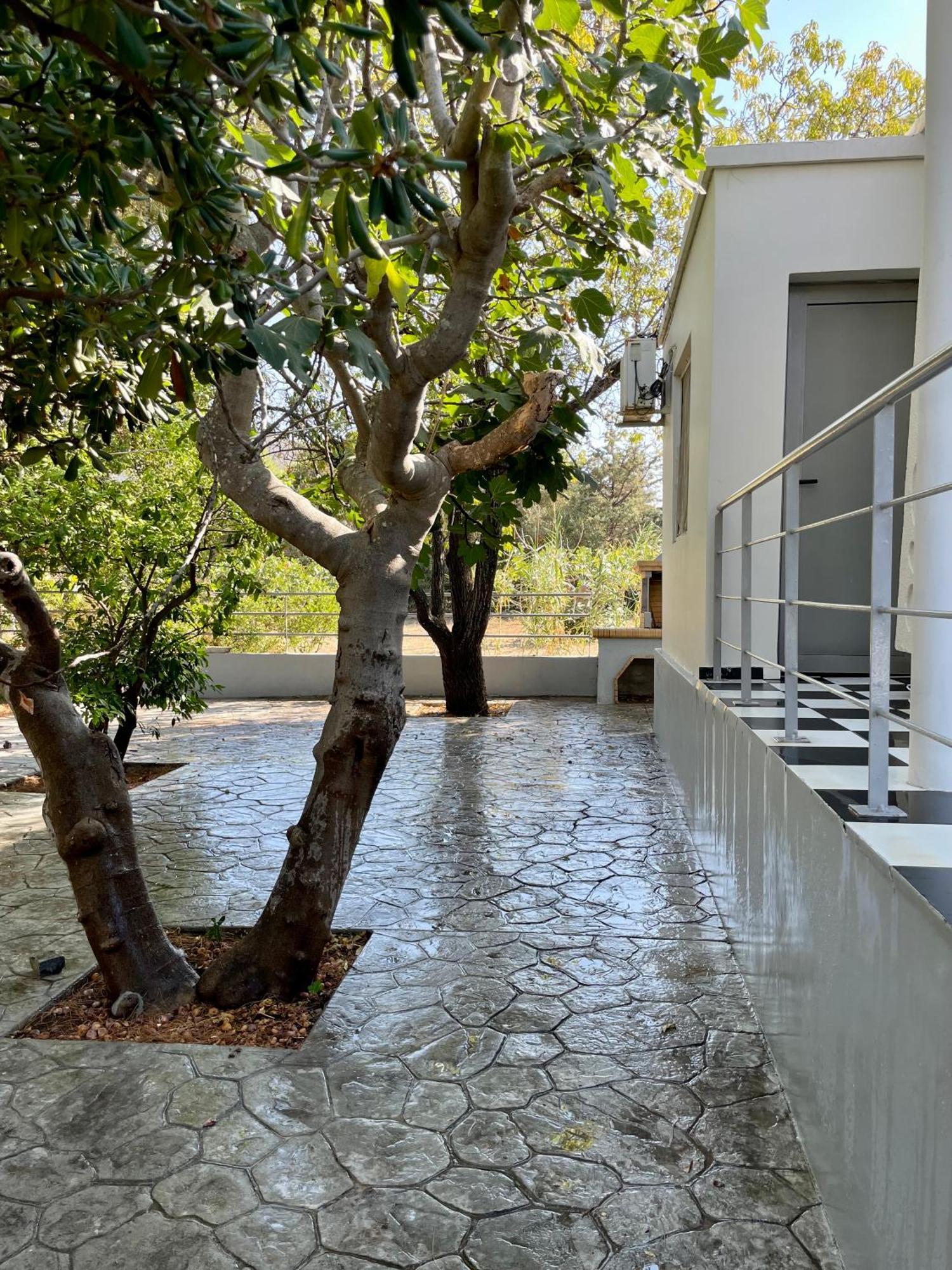 Architect'S Summer House By The Beach Pórto Ráfti Buitenkant foto